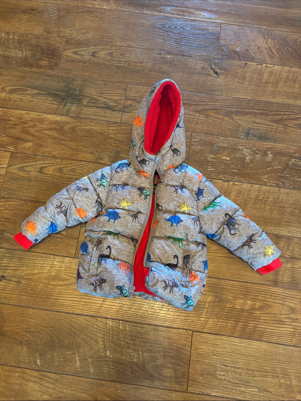 Gray Dino Puffer Jacket with Red Lining
